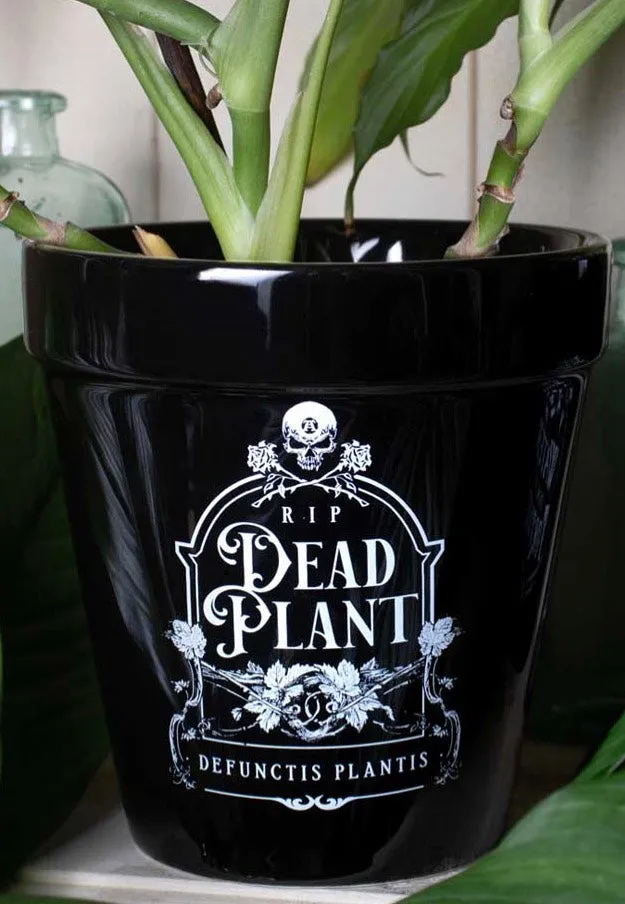 Alchemy England - Dead Plant - Plant Pot