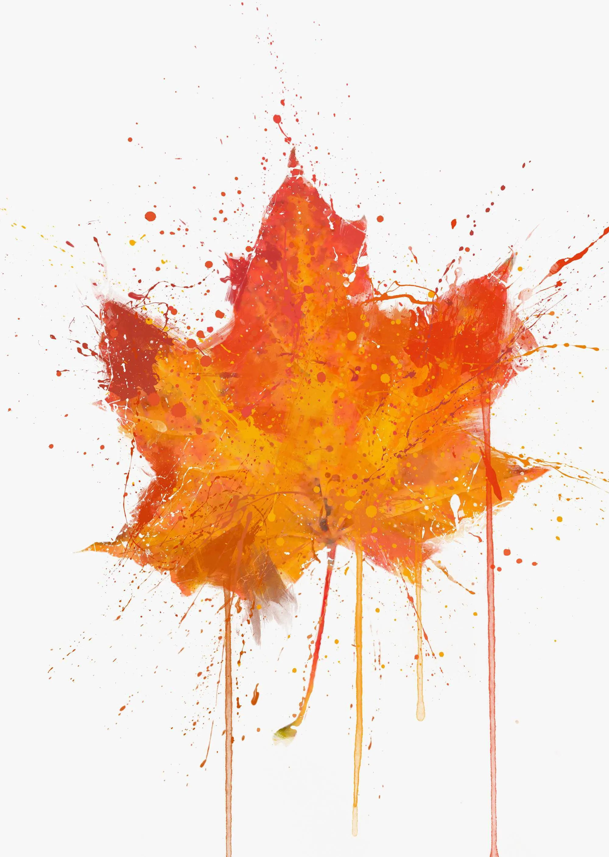 Maple Leaf Wall Art Print