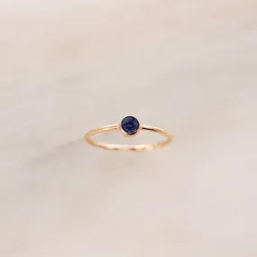 September Birthstone Ring ∙ Sapphire